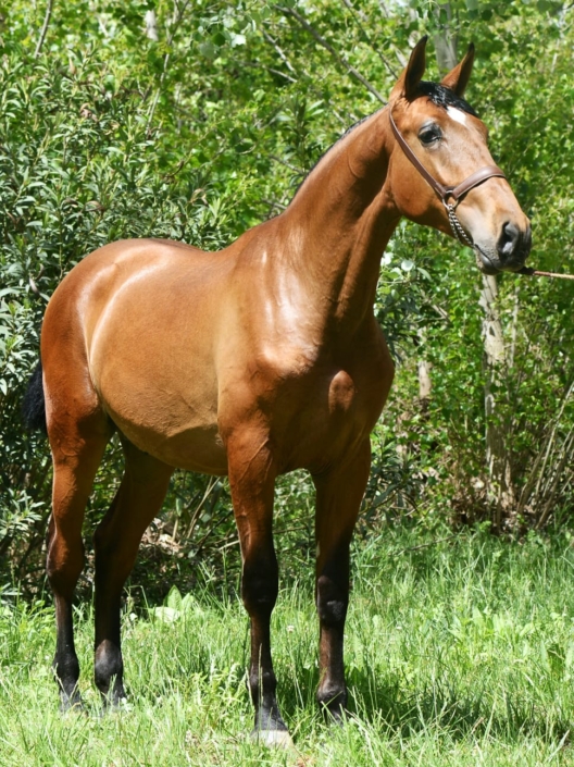 Whatsapp Image 2023-09-13 At 10.45.12