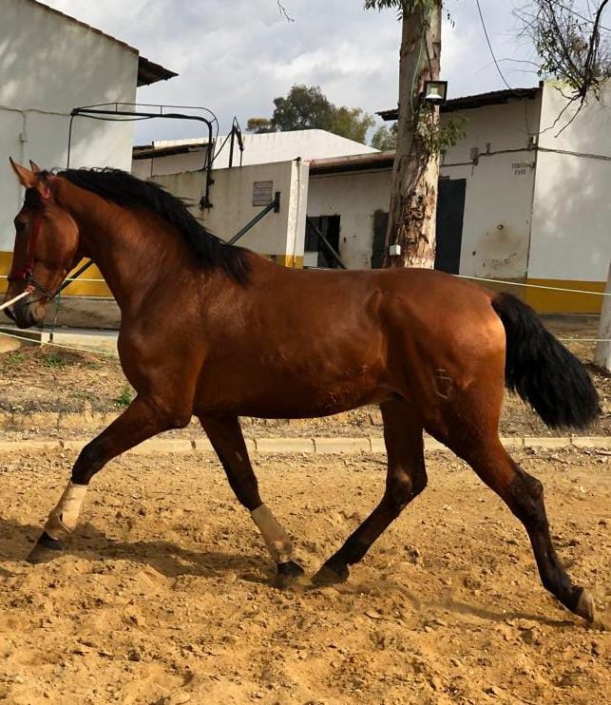 Whatsapp Image 2023-09-13 At 10.45.49