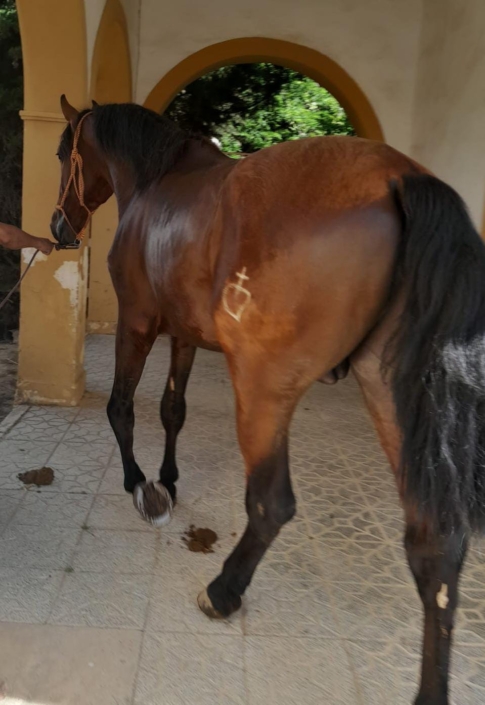 Whatsapp Image 2023-09-13 At 10.46.23