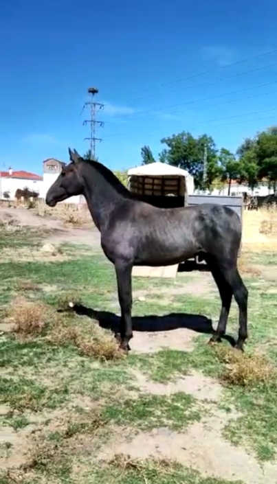 Whatsapp Image 2023-09-13 At 12.04.21 (1)