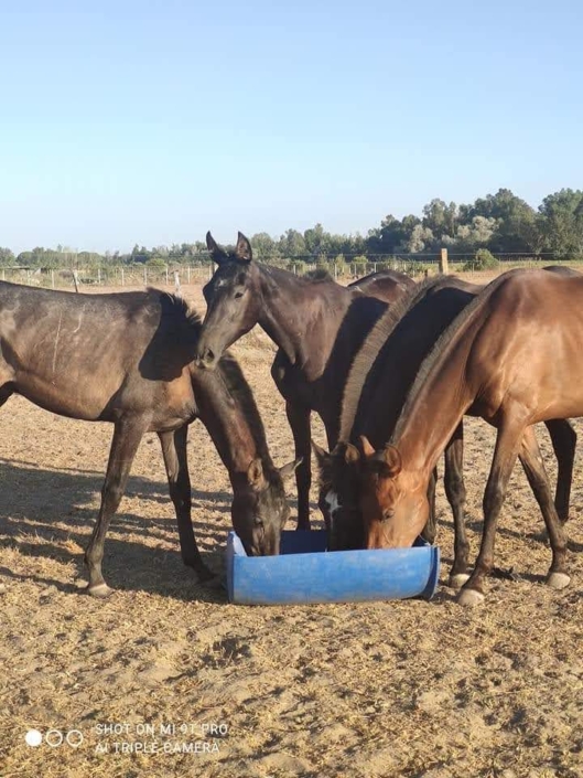 Whatsapp Image 2023-09-13 At 12.04.21