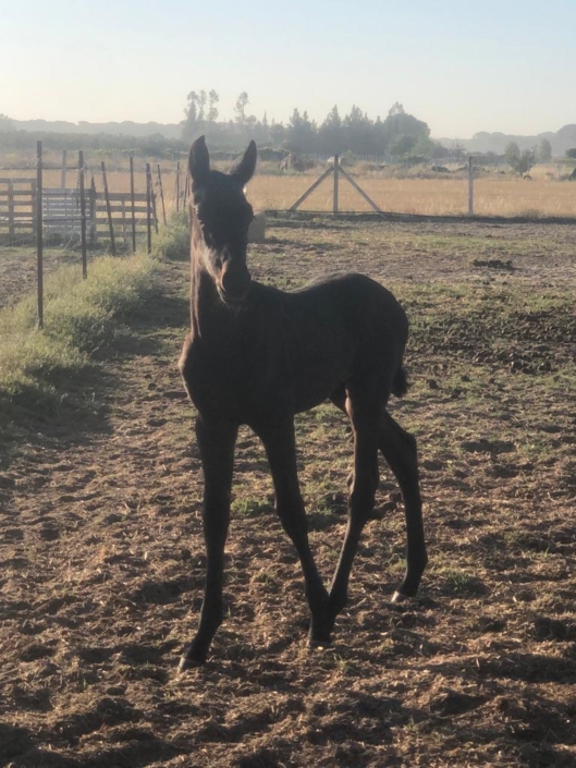 Whatsapp Image 2023-09-13 At 12.06.10