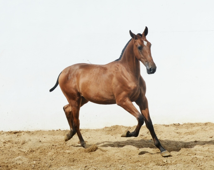 Whatsapp Image 2023-09-13 At 12.06.11