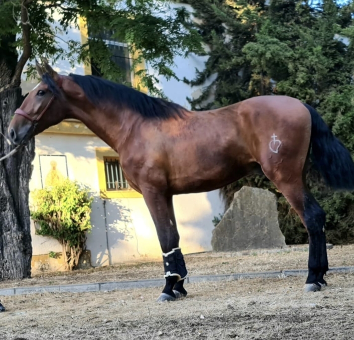 Whatsapp Image 2023-09-13 At 12.06.13