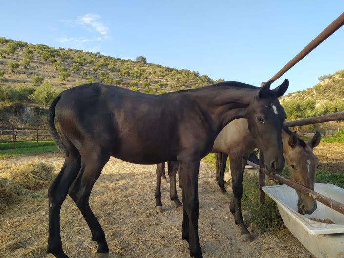 Whatsapp Image 2023-09-13 At 12.12.06 (1)