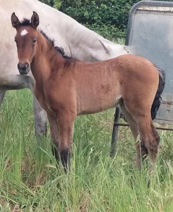 Whatsapp Image 2023-09-13 At 12.12.06