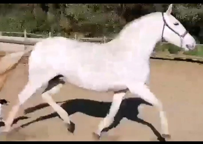 Whatsapp Image 2023-09-13 At 12.12.26 (1)