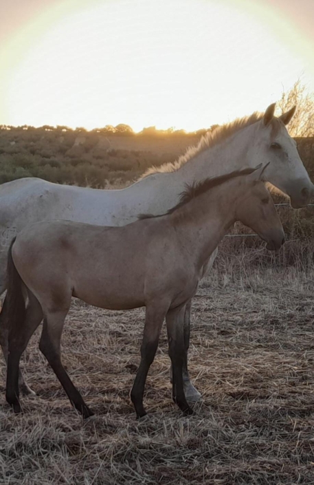 Whatsapp Image 2023-09-13 At 12.12.26 (2)