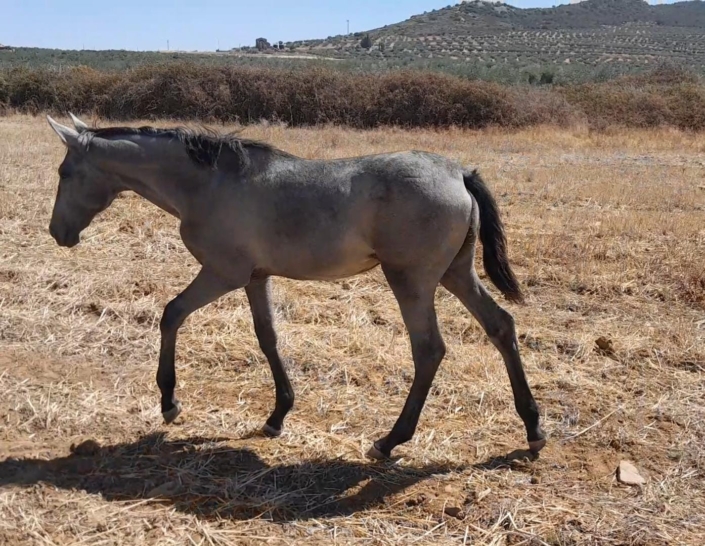 Whatsapp Image 2023-09-13 At 12.12.26 (3)