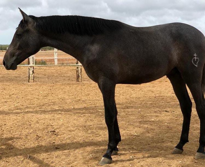 Whatsapp Image 2023-09-13 At 12.12.26