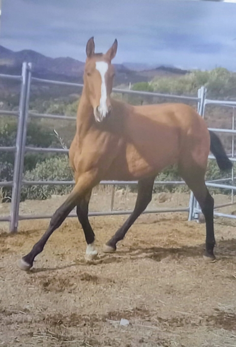 Whatsapp Image 2023-09-13 At 12.16.14