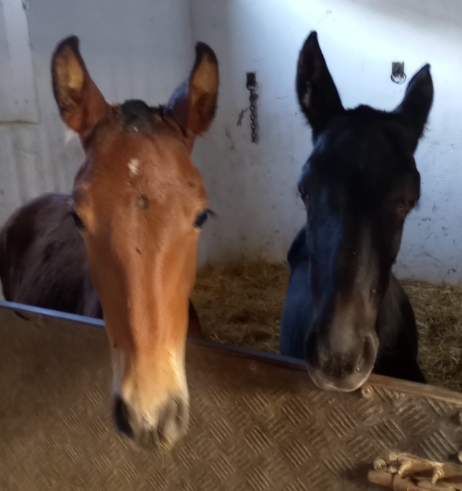 Whatsapp Image 2023-09-13 At 12.25.25