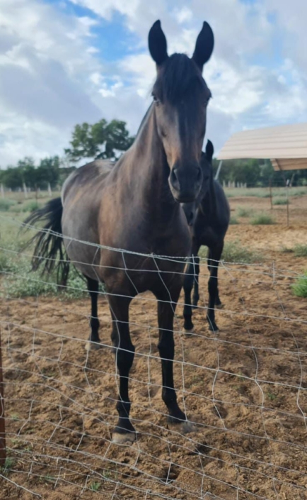 Whatsapp Image 2023-09-17 At 11.09.42