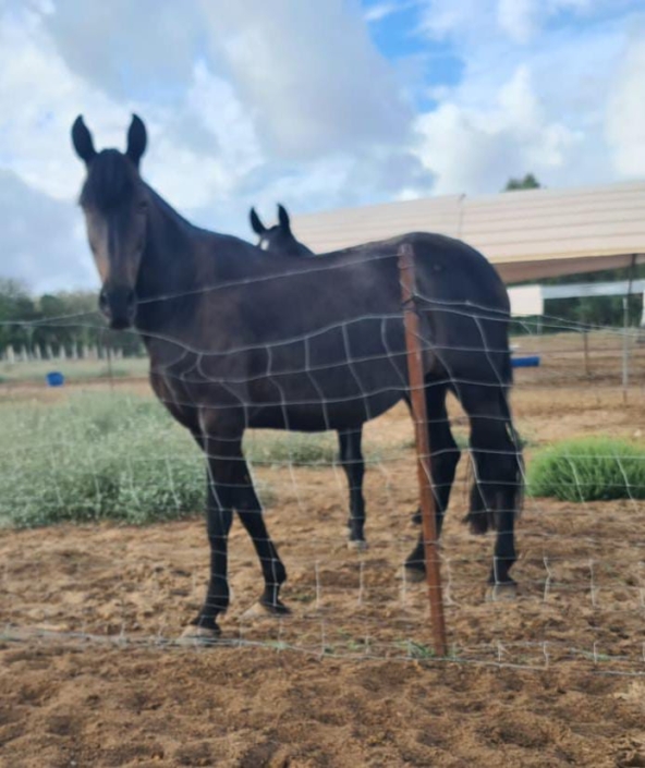 Whatsapp Image 2023-09-17 At 11.09.43 (1)