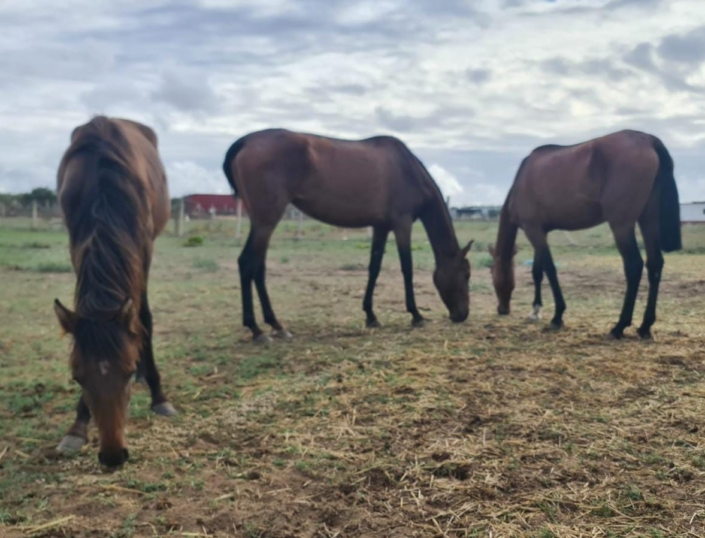 Whatsapp Image 2023-09-17 At 11.09.43